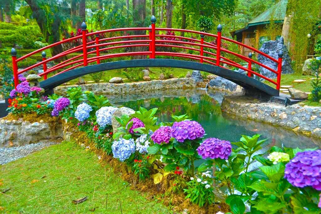 Beautiful flowers in Baguio Botanical Garden. Tourist Spots in Baguio