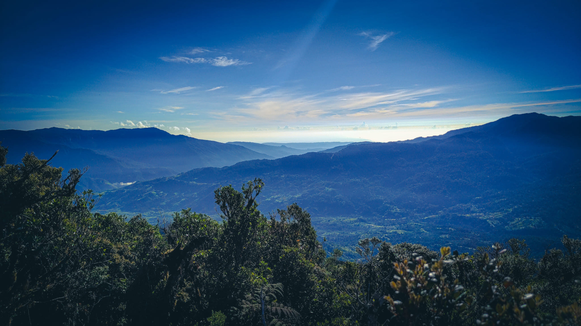 Conquering the Majestic Davao Mountains: A Hiker's Paradise