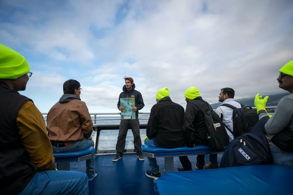 Marine Life Conservation Sunset Whale-watching Boat Ride in Vancouver Island, CA