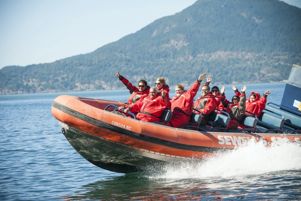 Travel Itinerary for Sunset Whale-watching Boat ride in Vancouver Island, CA