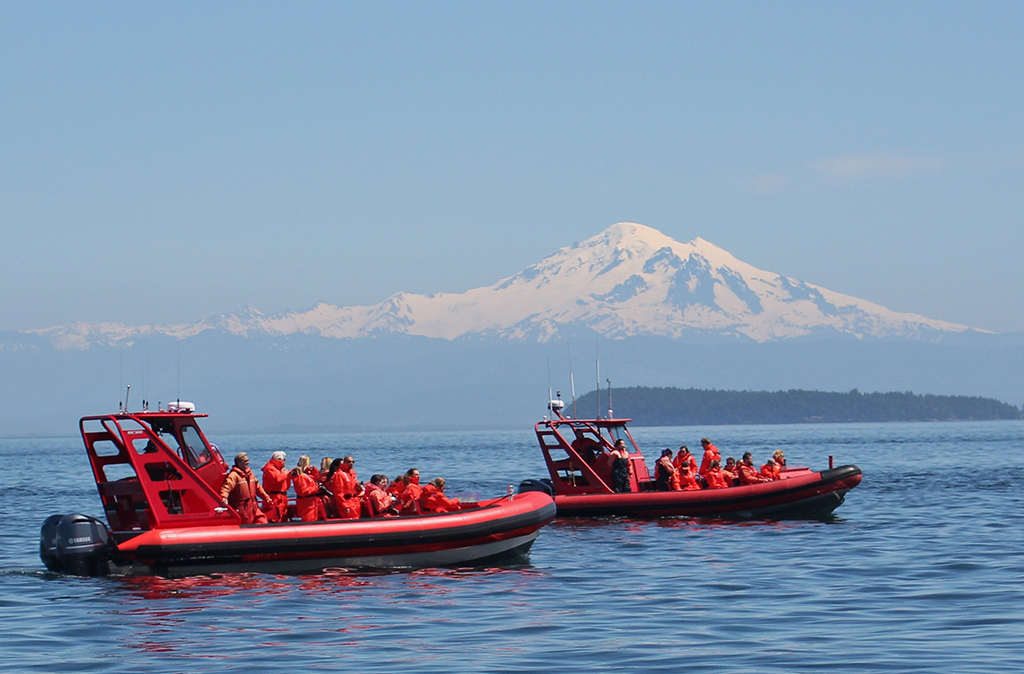 Travel Tips for Sunset Whale-watching Boat Ride in Vancouver Island, CA