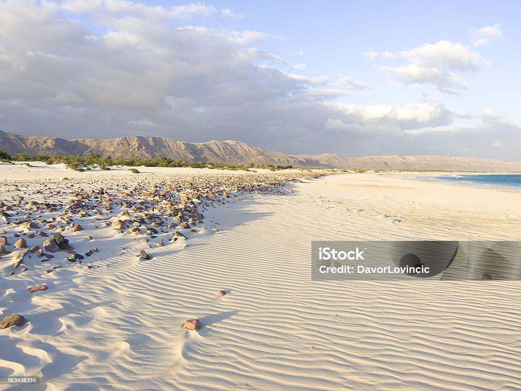 Socotra Island's Mystical Marvel