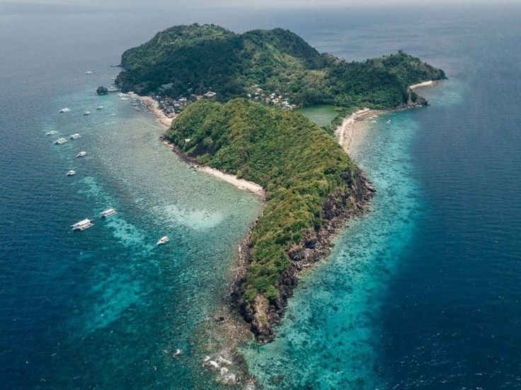 apo island - best things to do in the philippines