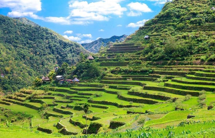 banaue rice terraces - best things to do in the philippines