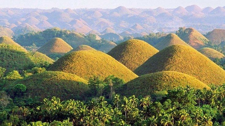 chocolate hills - best things to do in the philippines