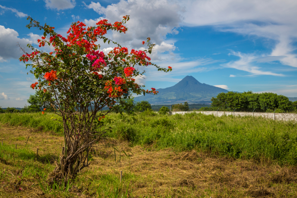 Mt. Matutum - General Santos City